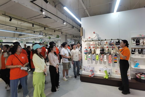 吉林省大學(xué)生走進遼源 創(chuàng)業(yè)就業(yè)雙選實踐活動成功舉辦，勞務(wù)派遣服務(wù)助力人才對接